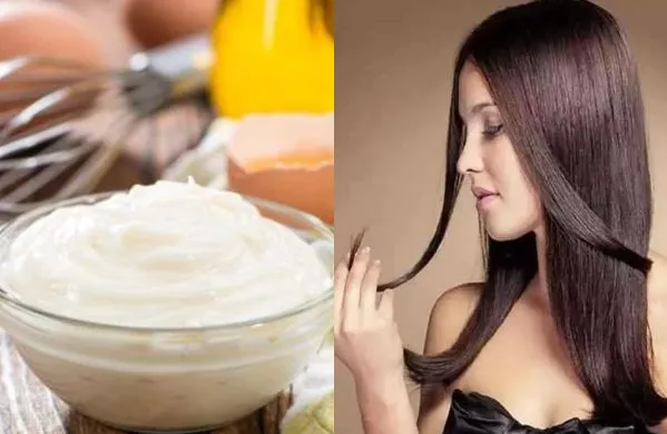How to Apply Mayonnaise on Hair