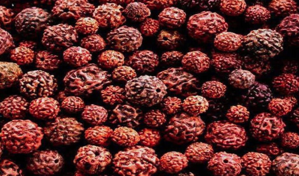 Benefits of Wearing Rudraksha