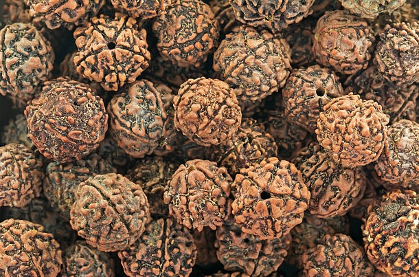 Benefits of Wearing Rudraksha