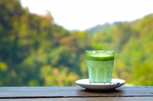 Can we drink matcha everyday ?
