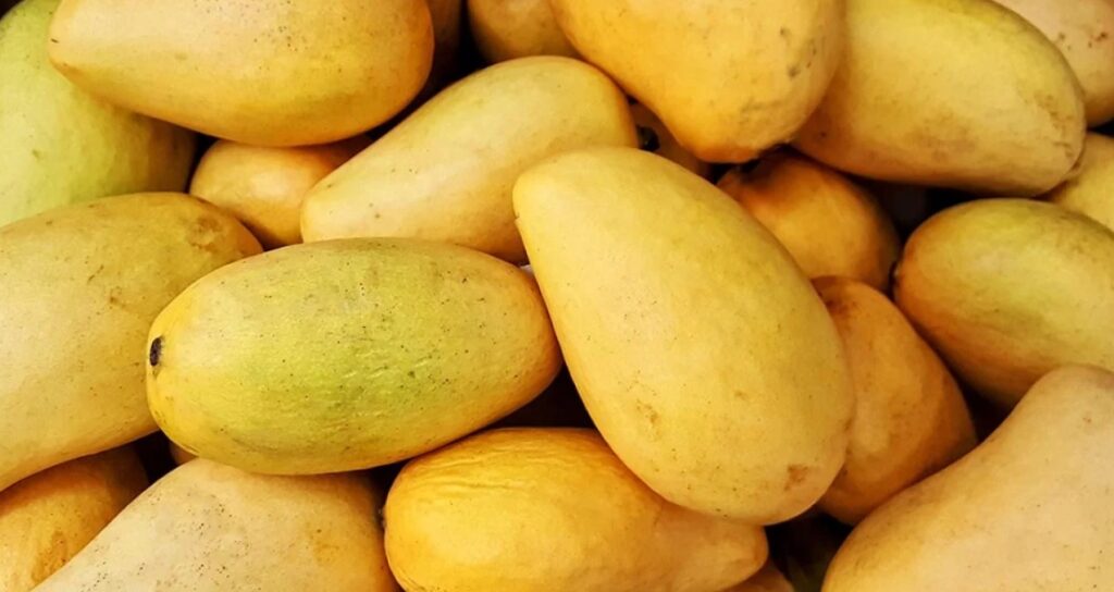 Is it good to apply mango on face ?