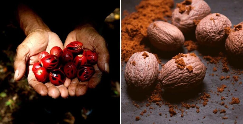 Can we apply nutmeg on face ?