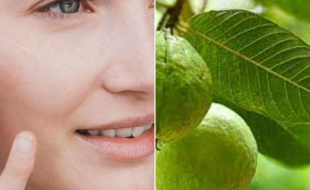 Is Guava leaves good for face